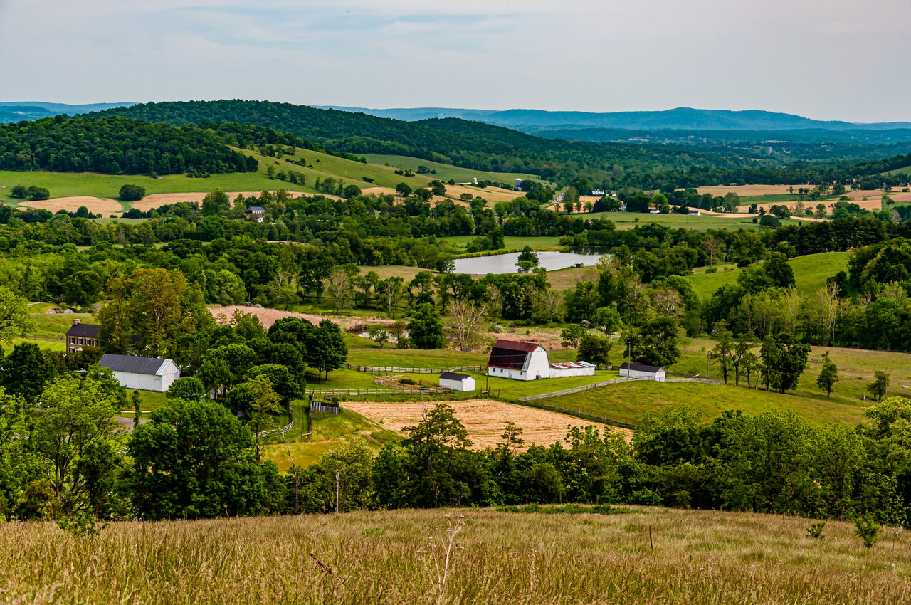 Delaplane