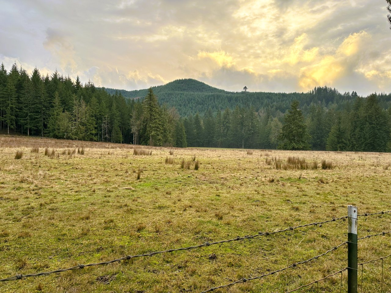MOSBY CREEK FARM & FOREST
