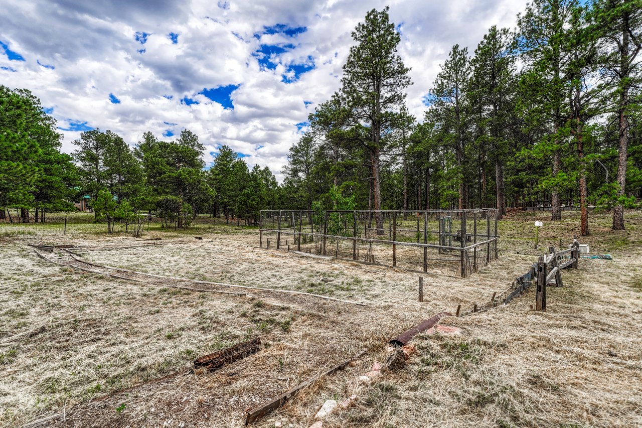 9950 Pine Park Trail