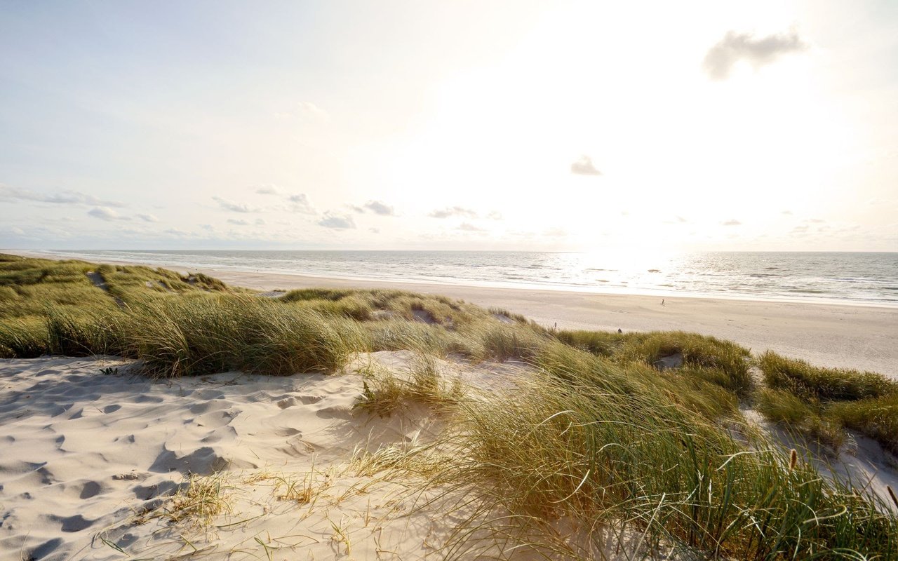 Wild Dunes