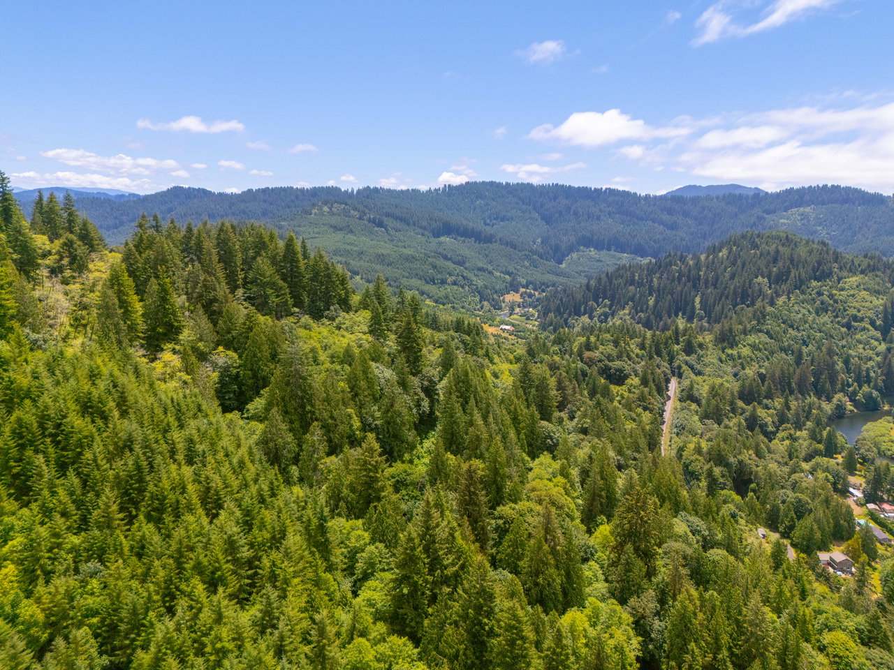 MILL CREEK FOREST
