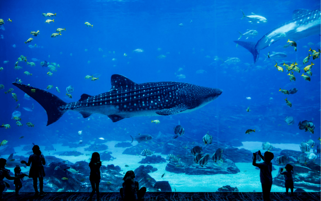 Unique Landmarks Along the Treasure Coast