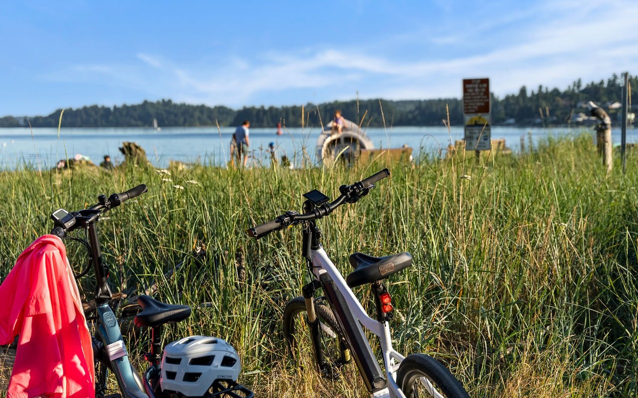 Bicycles in beach grass overlook calm water and a wooded shoreline.