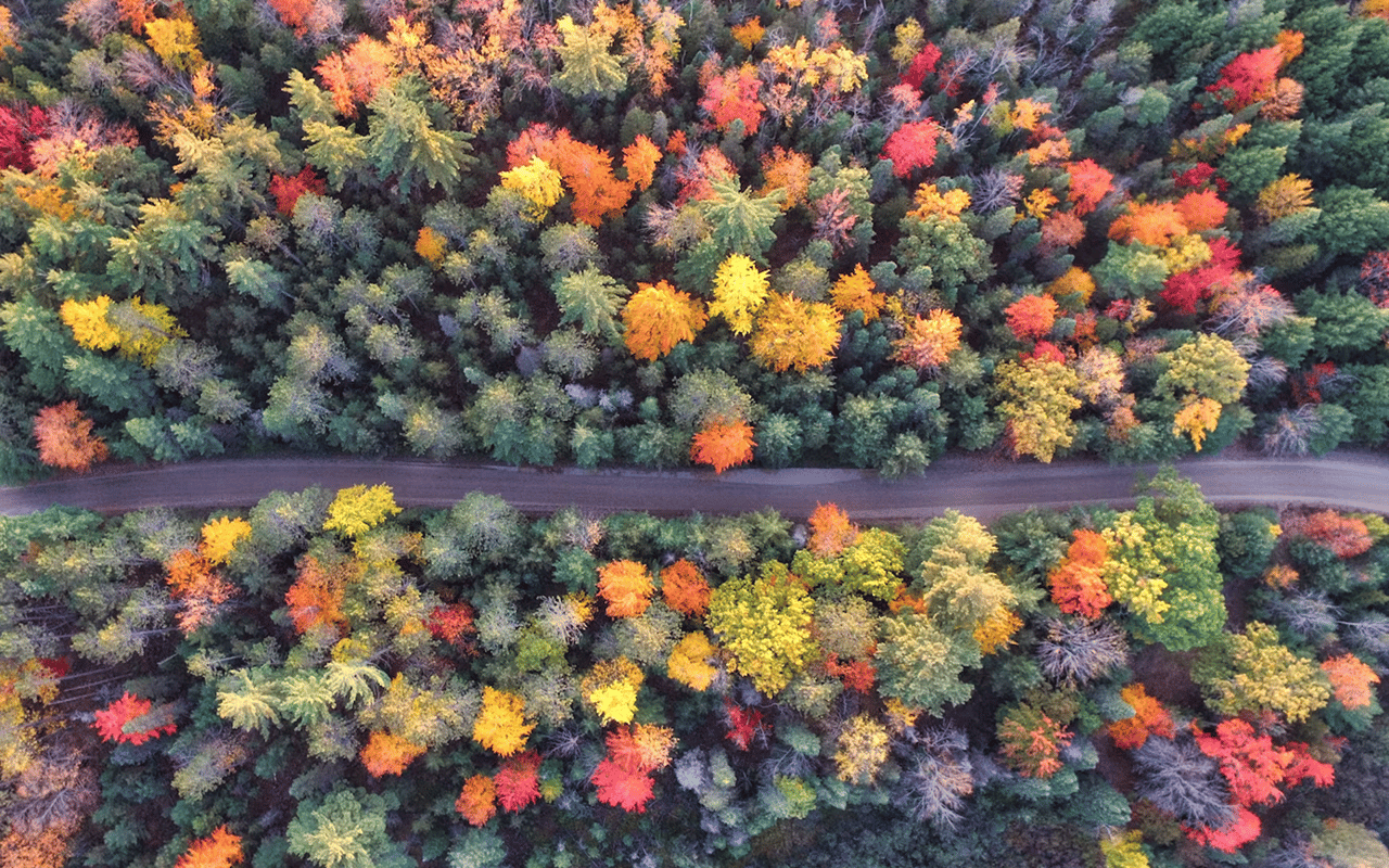 The Best Fall Foliage Spots and Harvest Experiences Near Gurnee, IL