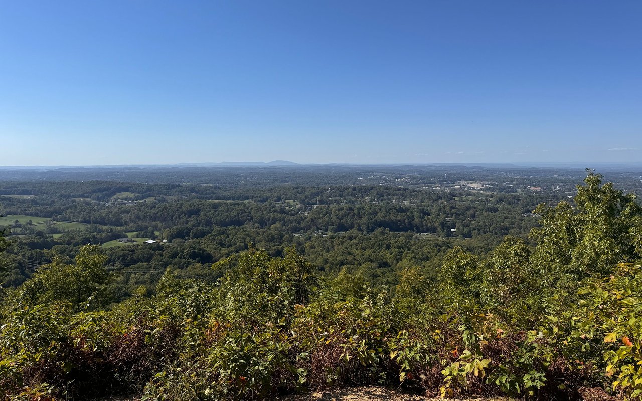 Panoramic view over a wooded valley with scattered buildings beneath a clear blue sky.