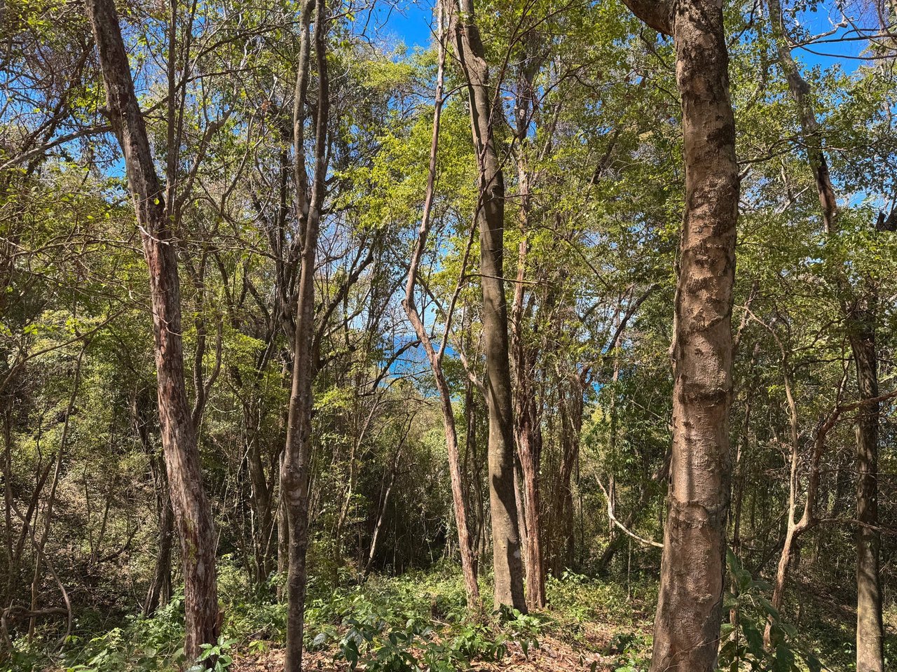 Refined Ocean View Development Parcel, Santa Teresa, Puntarenas