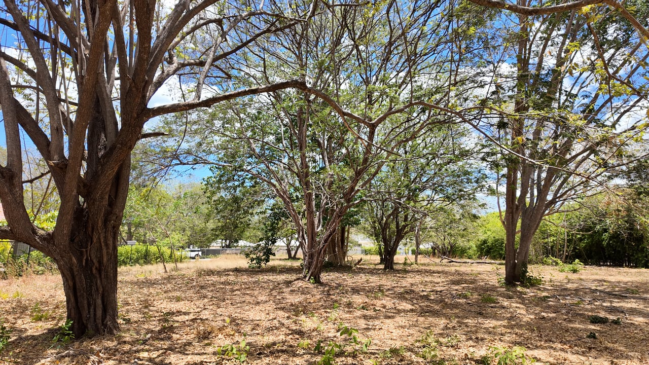 5,170 m2 Homesite - Catalina Cove 22 - Brasilito