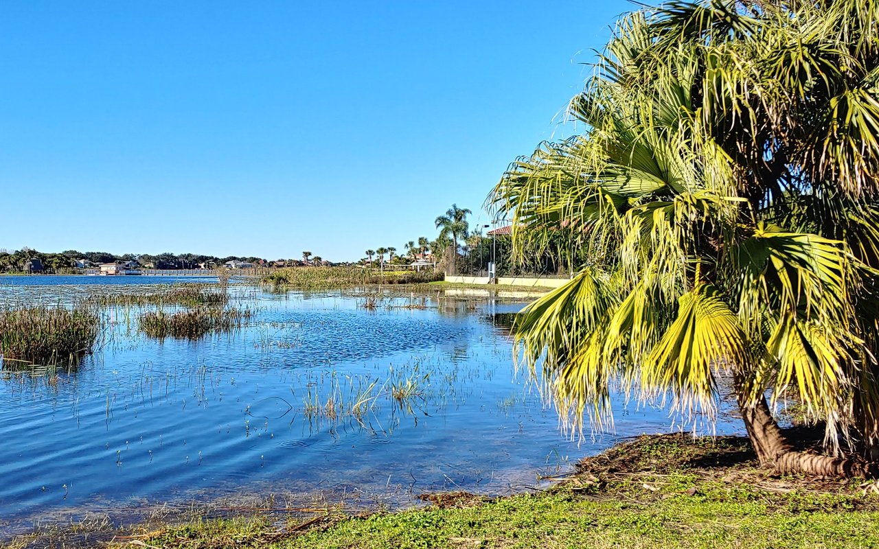 Sand Lake