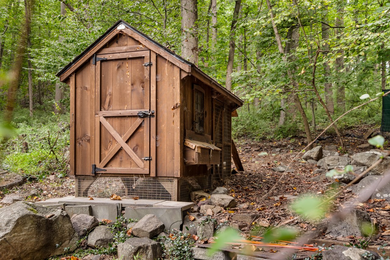 158 Buffalo Hollow Rd