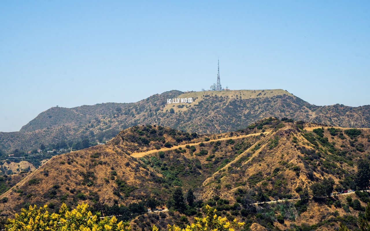 Hollywood Hills