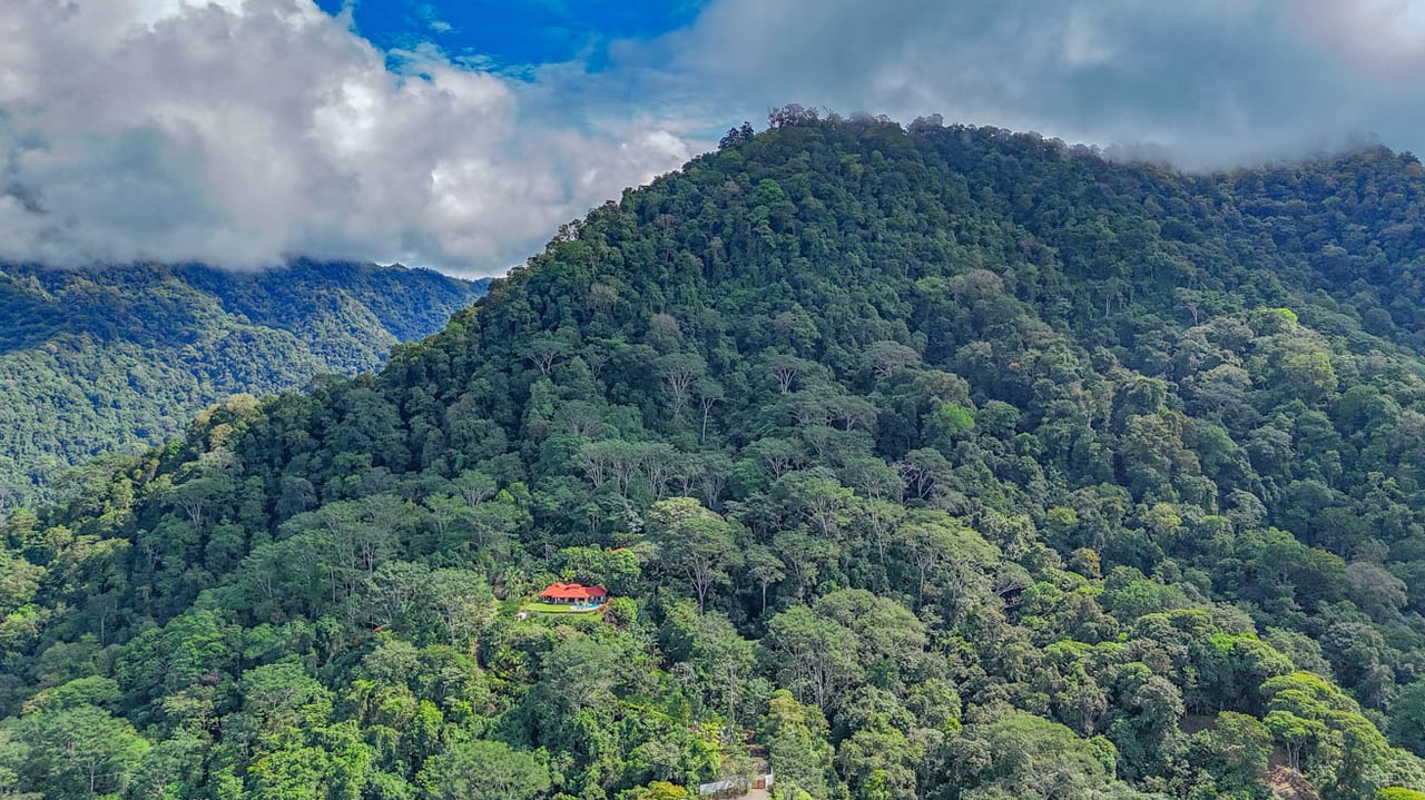 Ocean, jungle & mountain views on a meticulously landscaped 3-home family compound