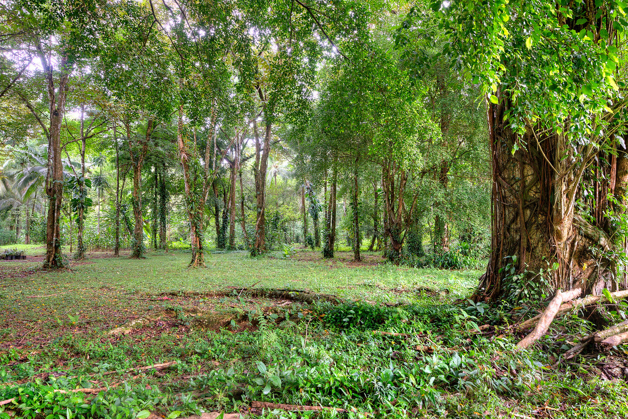 Impressive Contemporary Mansion