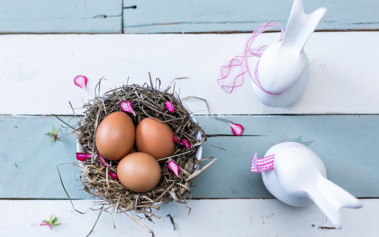 Easter Egg Hunts in Charleston