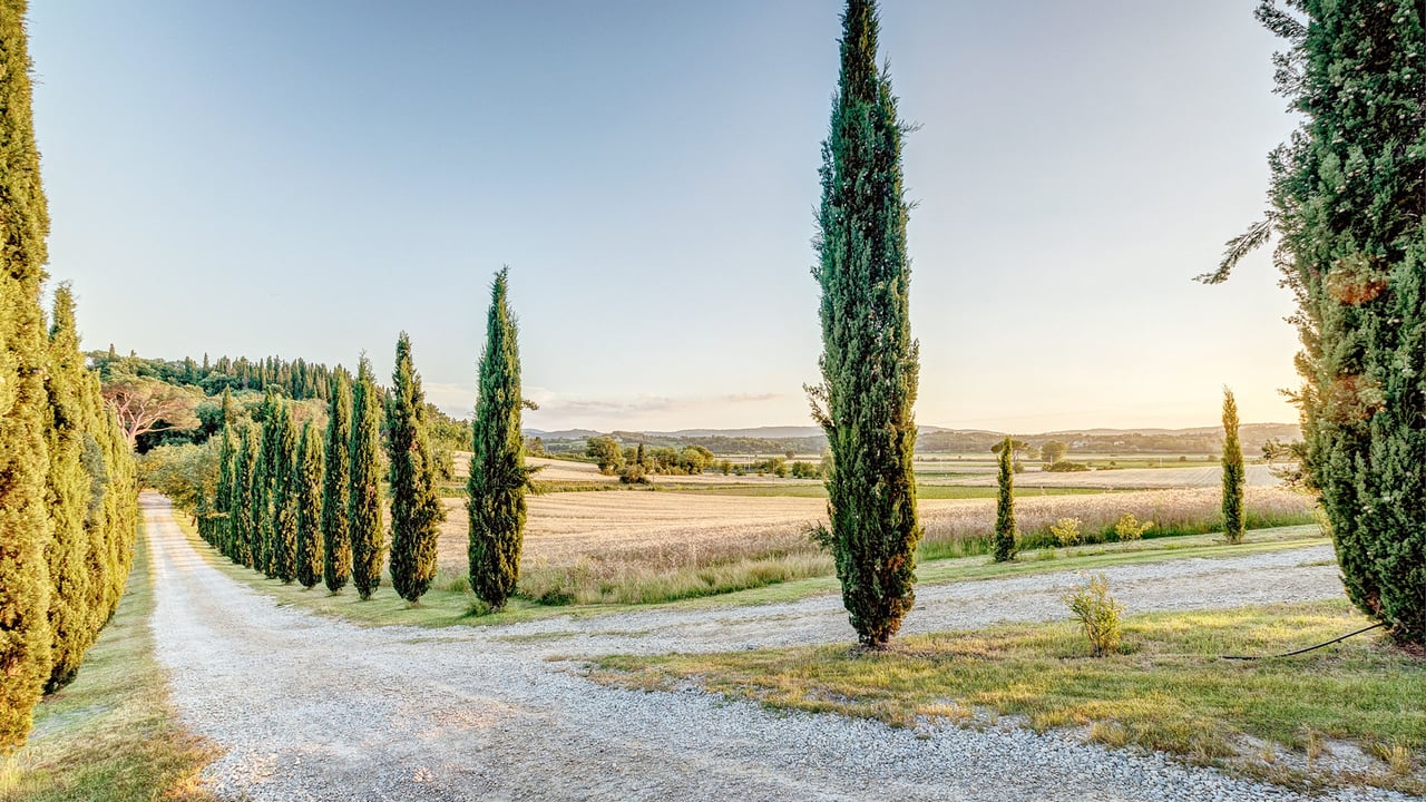 PODERE DELLA PIEVE