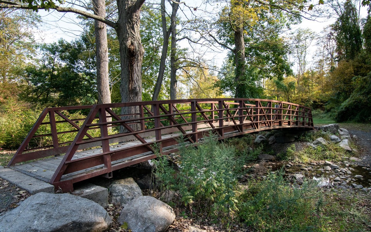 Wilton