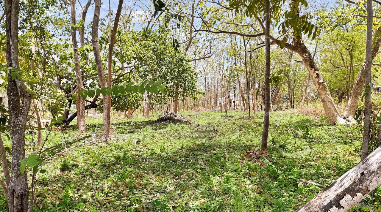 FLAMINGO BEACH LOT FOR SALE 