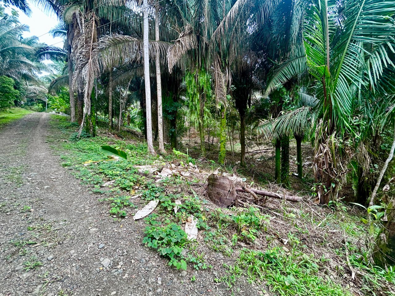 Over 1.4 Acres in Playa Hermosa – Just 5 Minutes from the Beach!