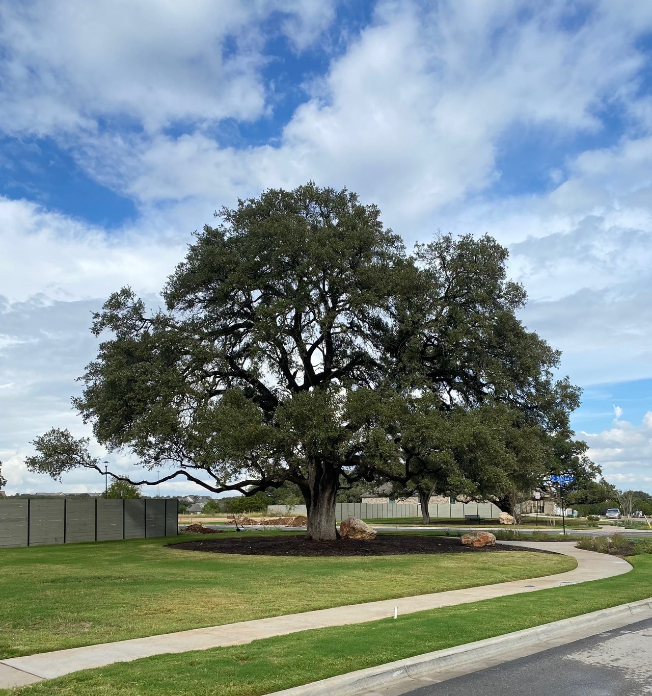 Rare 6 Bedroom Home in Desirable Wolf Ranch
