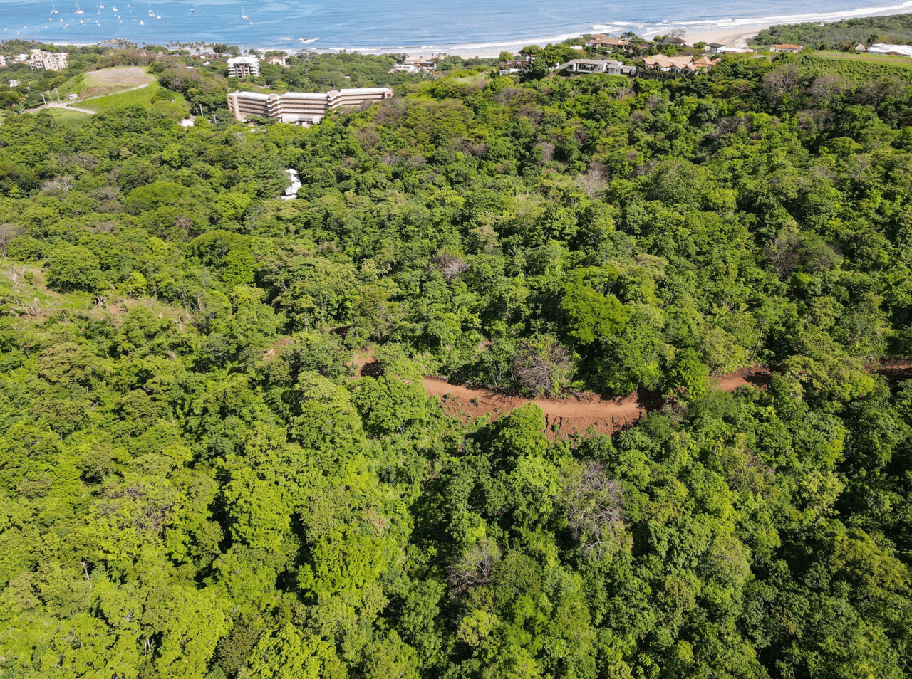 Paradise Ridge Retreat - Luxurious Oceanview Living - Senderos