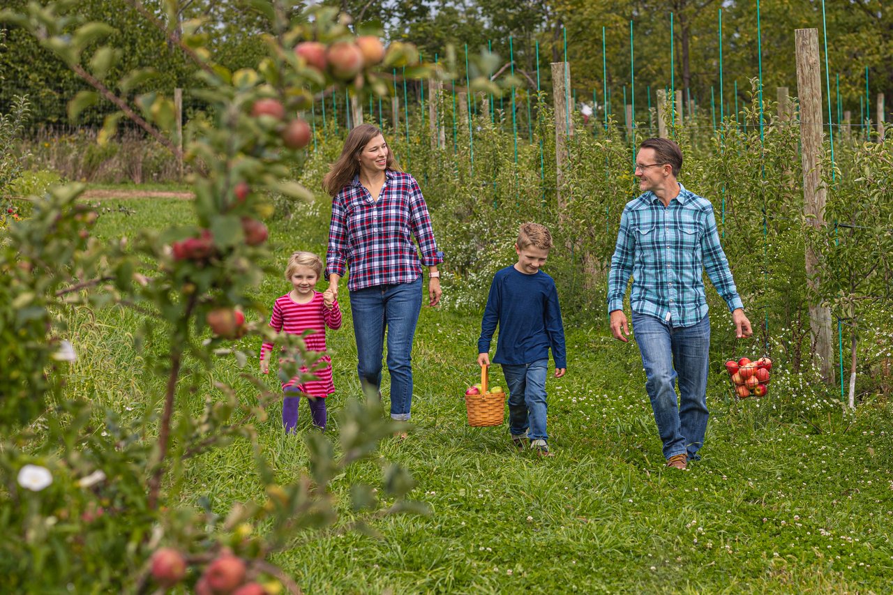 Best Pumpkin Patches, Apple Orchards & Corn Mazes Around Suffolk County