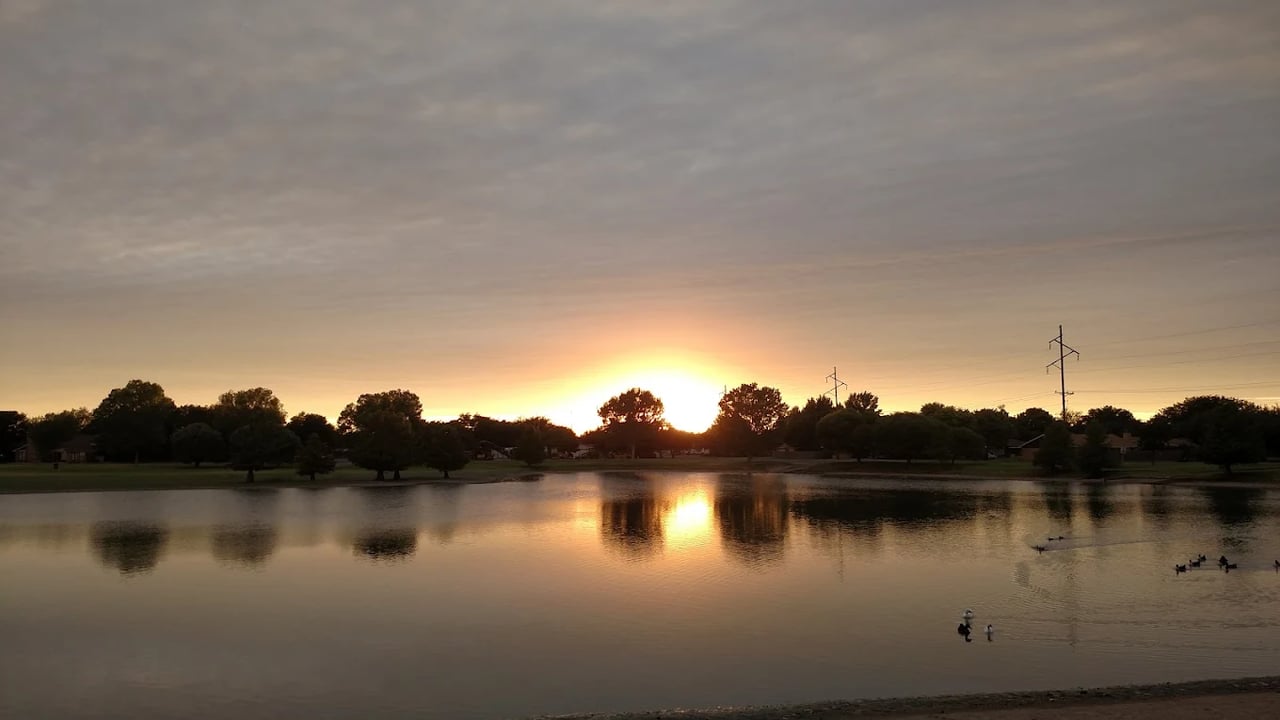 Pond reflecting the sunset, with trees along the far bank and ducks on the water.