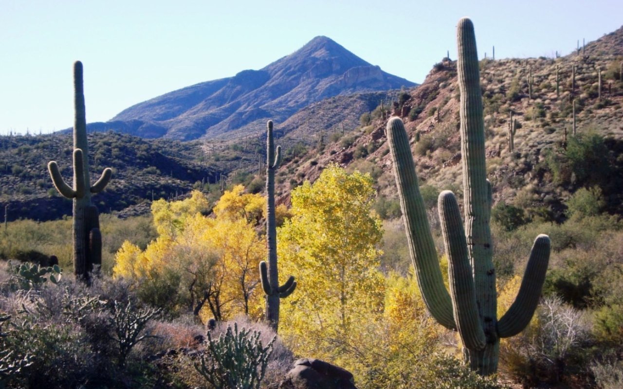 Cave Creek