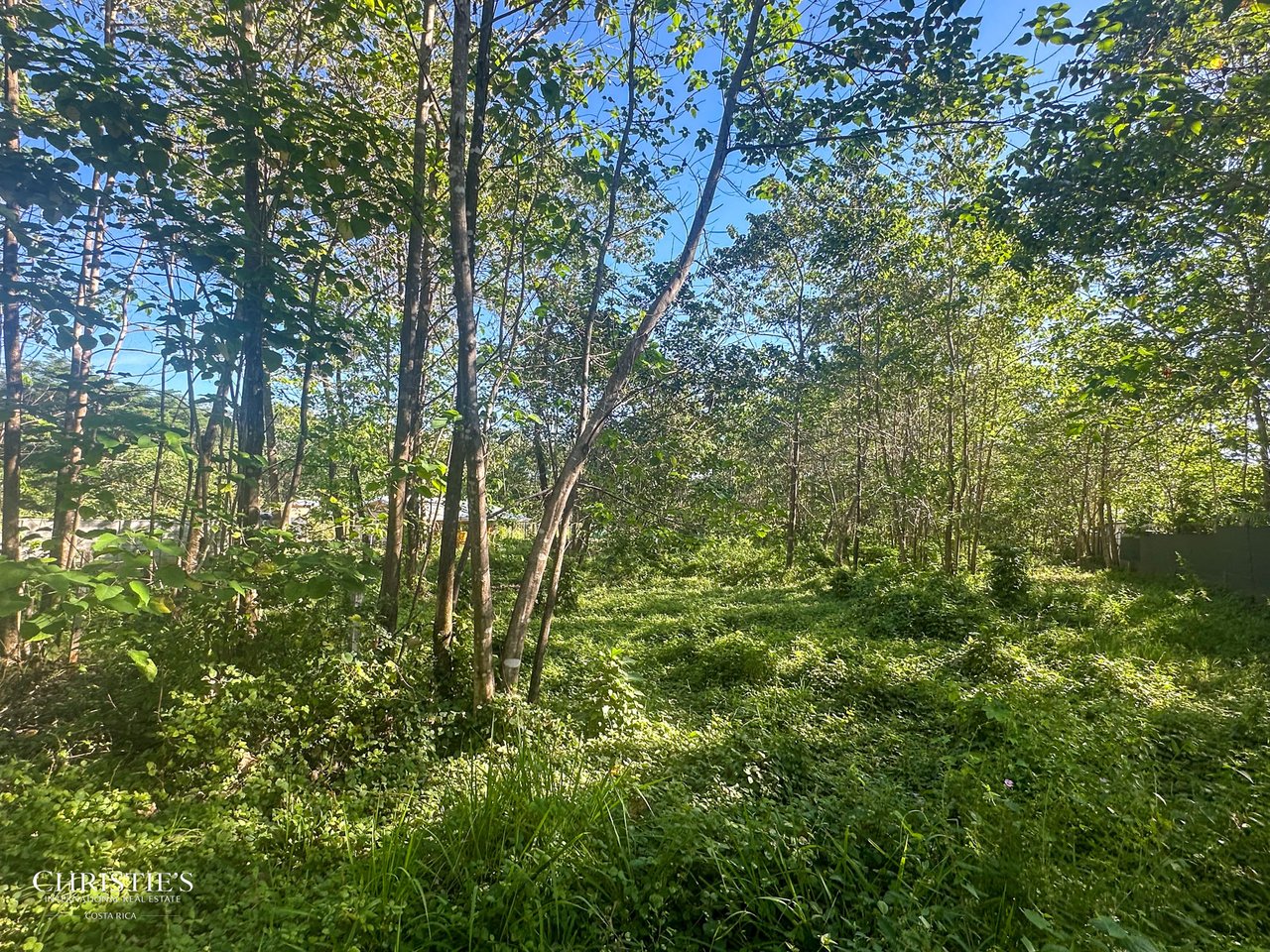 Prime Lot in Playa Avellanas — Walk to the Beach