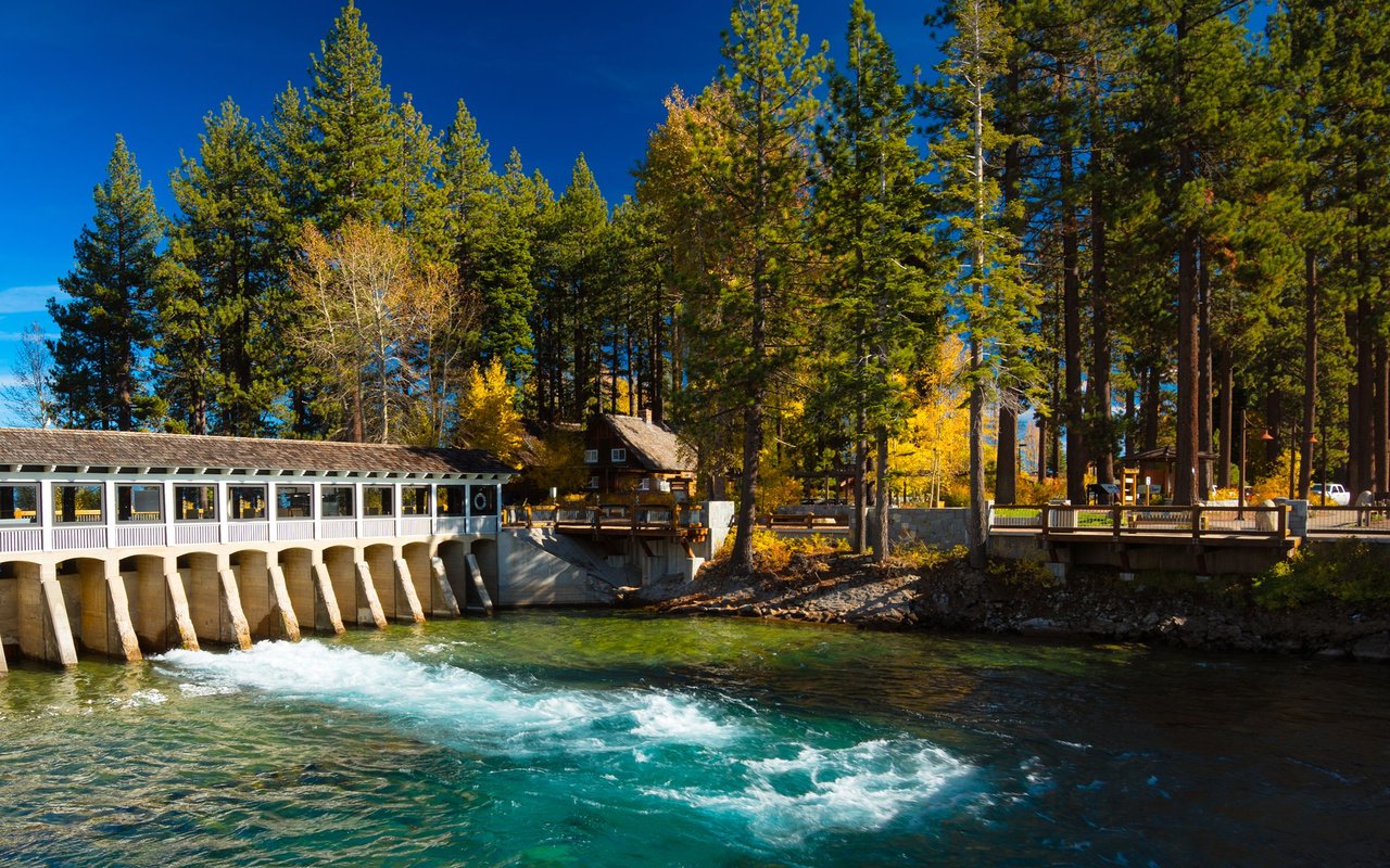 Rushing turquoise water beneath bridges, with pine trees and autumn foliage in Tahoe City.