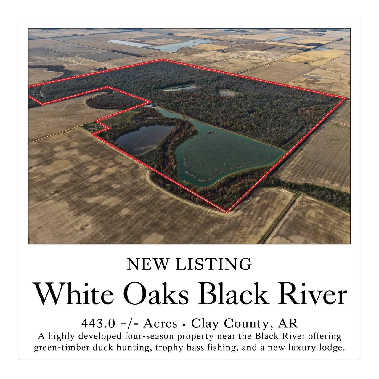 White Oaks Black River