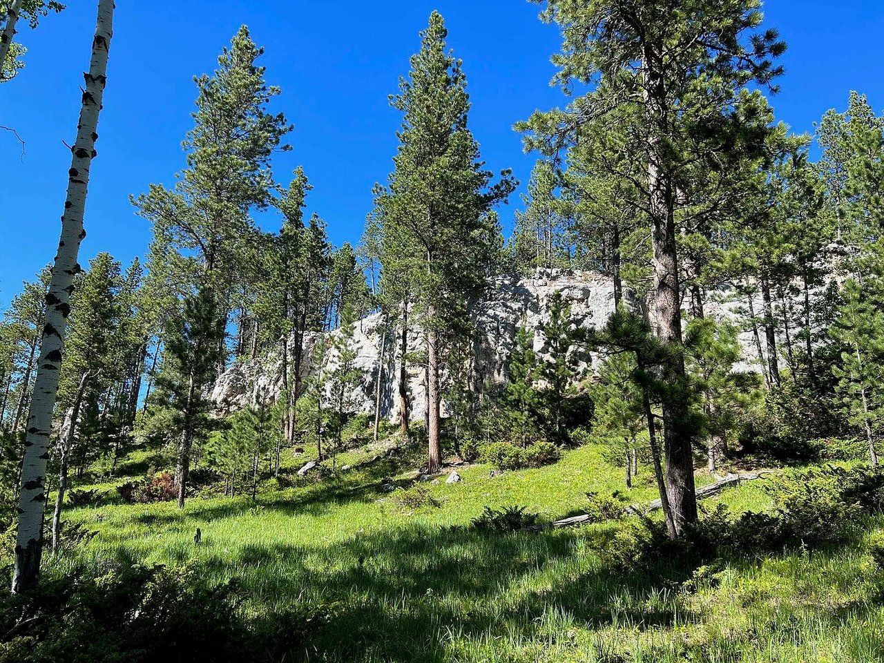 Lot 3 Boles Canyon Rd