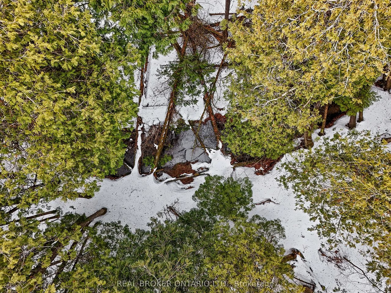 481 Oak Hill Road, Port Hope, ON L0A 1B0