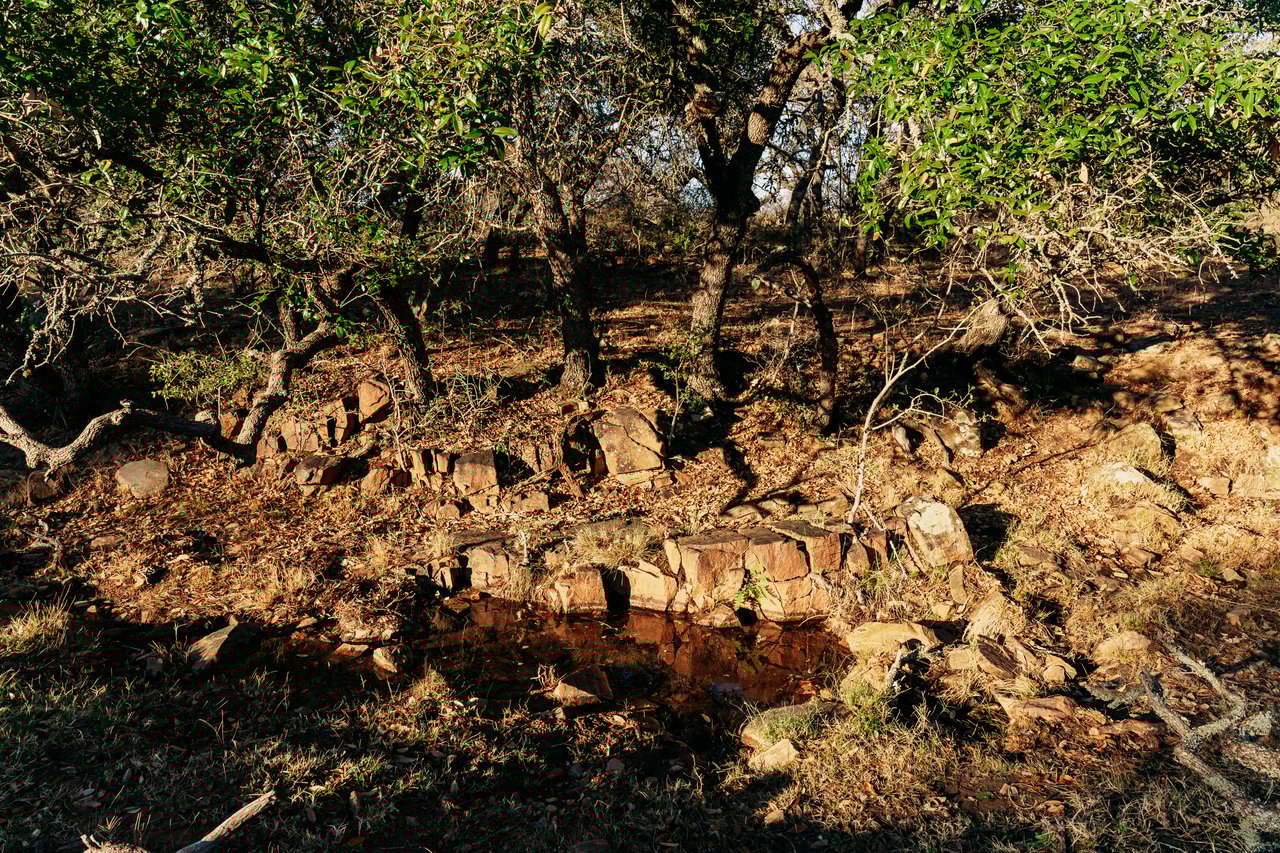 510 Carls Pass Llano County 378 Acres