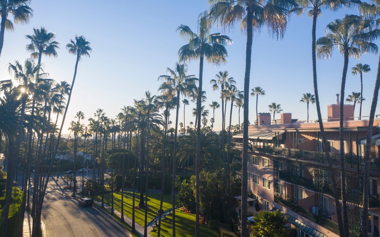 Palm-lined neighborhood street and residential building in warm evening light.