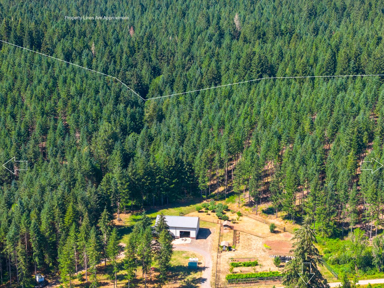 Thetford Home & Forest
