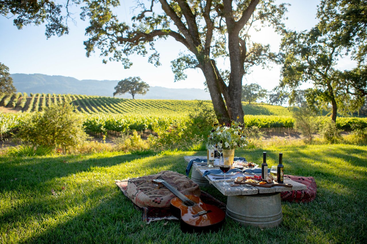 12 Unique Winery Experiences in Sonoma and Napa Wine Country