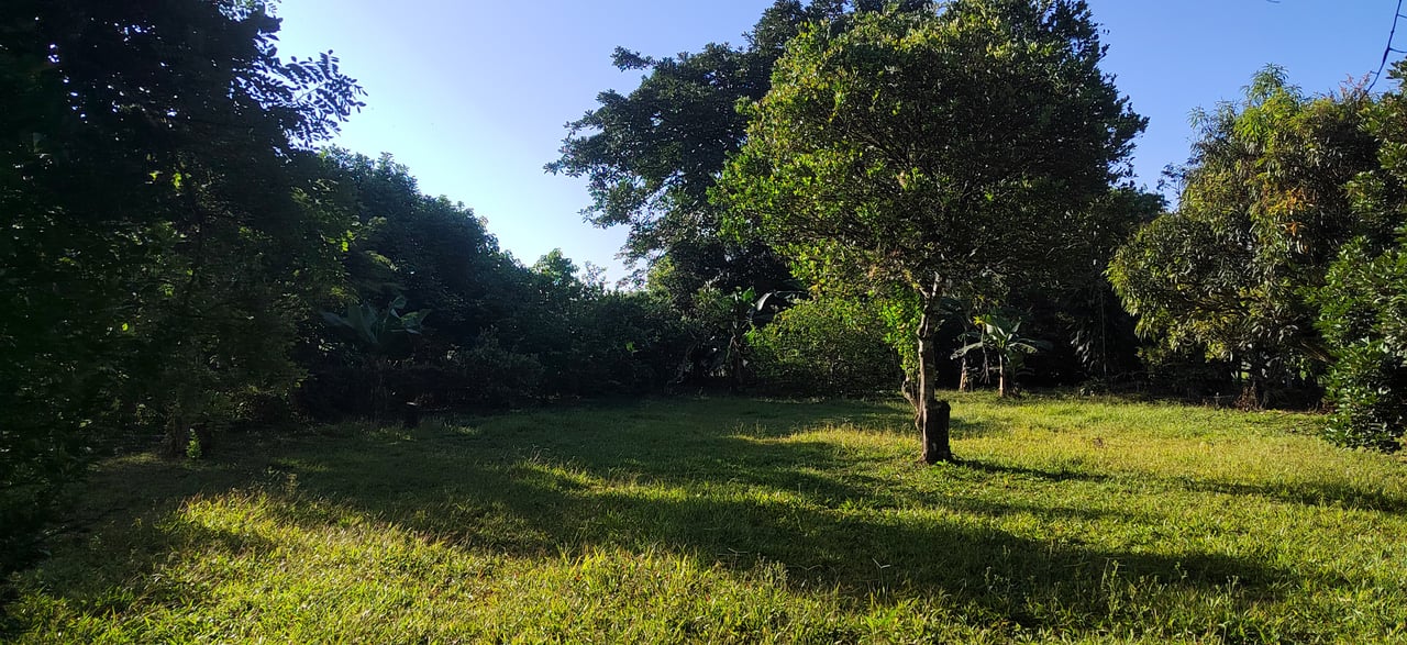 PRIME 1,100 M² LOT IN RESIDENCIAL LOS VIEJOS – FLAT, PRIVATE, AND READY TO BUILD