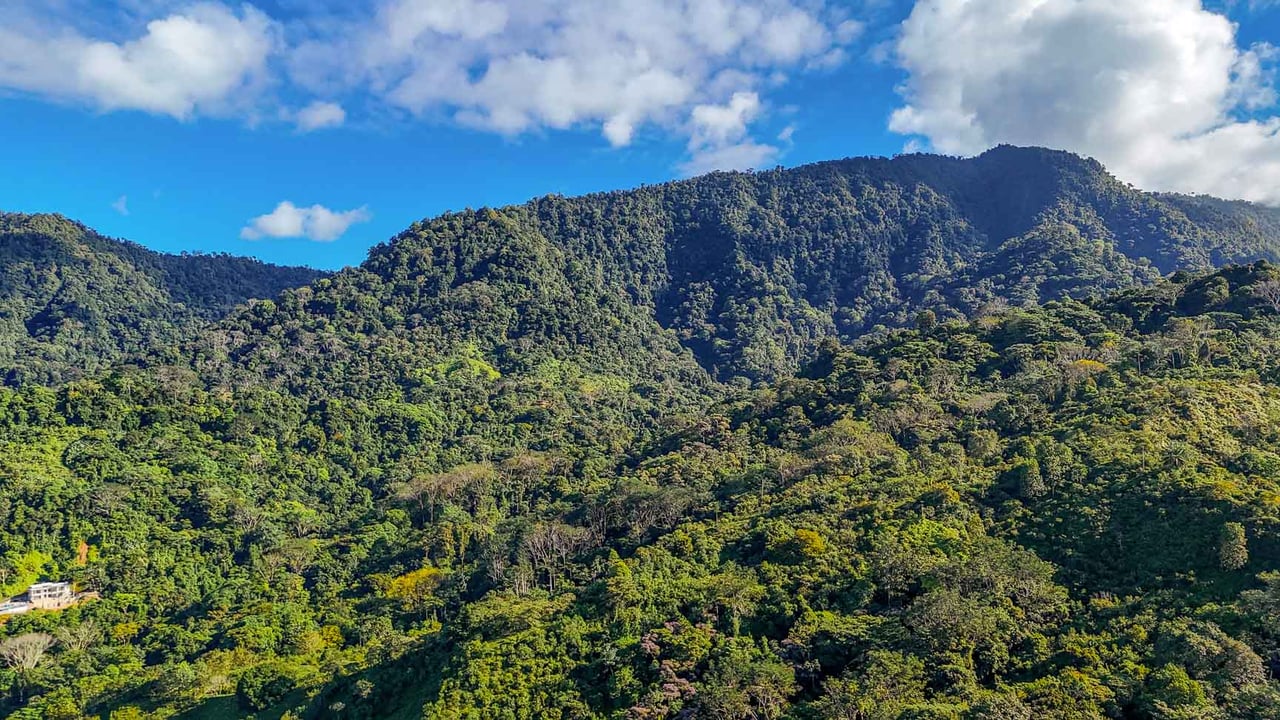 Ocean, Jungle & Mountain View Home in Ojochal | Protected Jungle Setting
