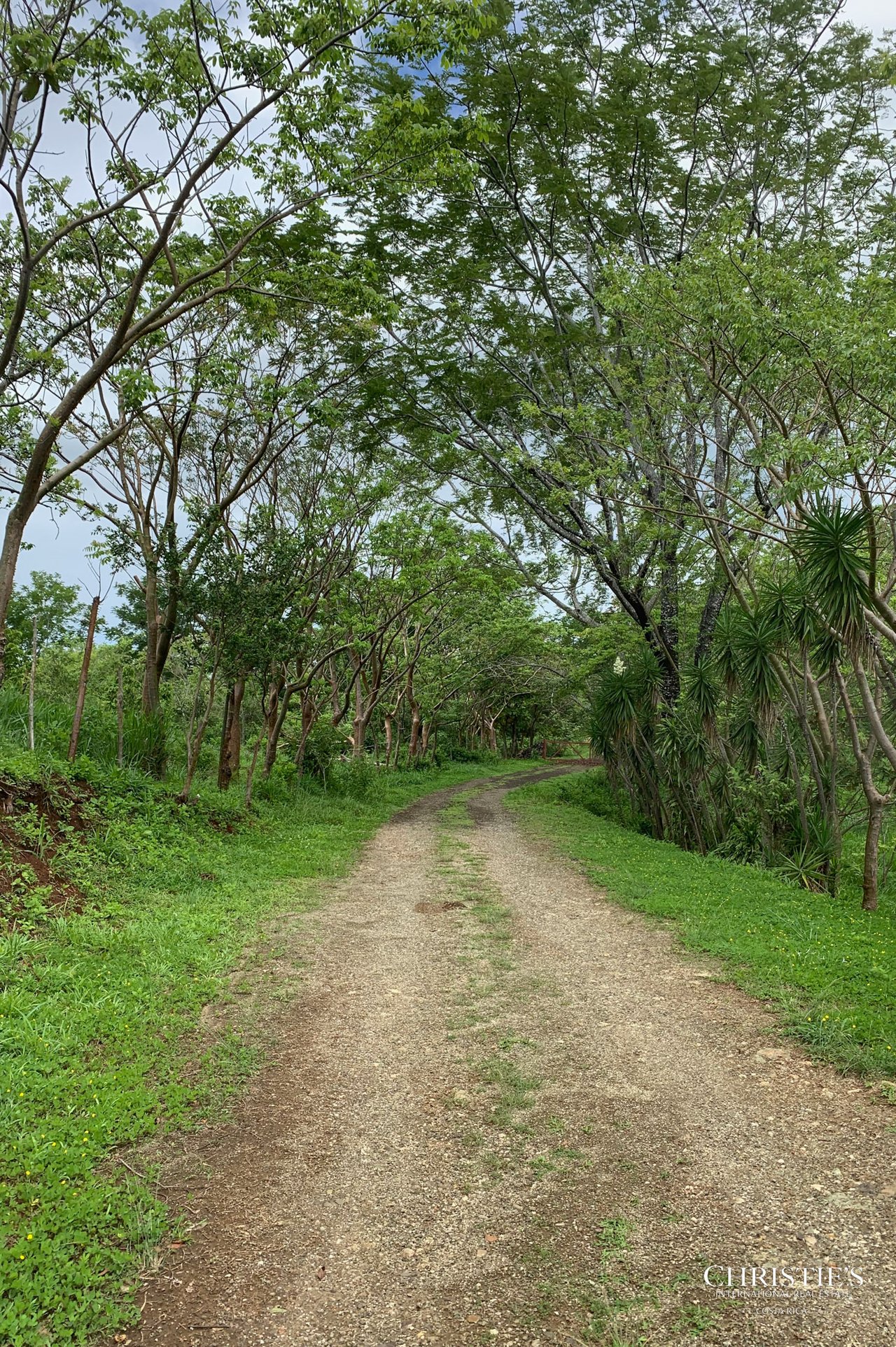 Finca Naranjalito