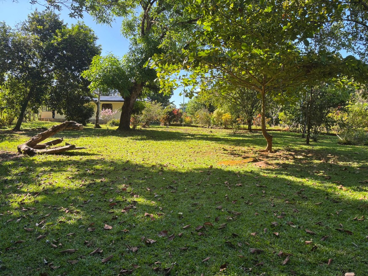 Vista Serena, beautiful House surrounded by nature in Villa Nueva de Quepos