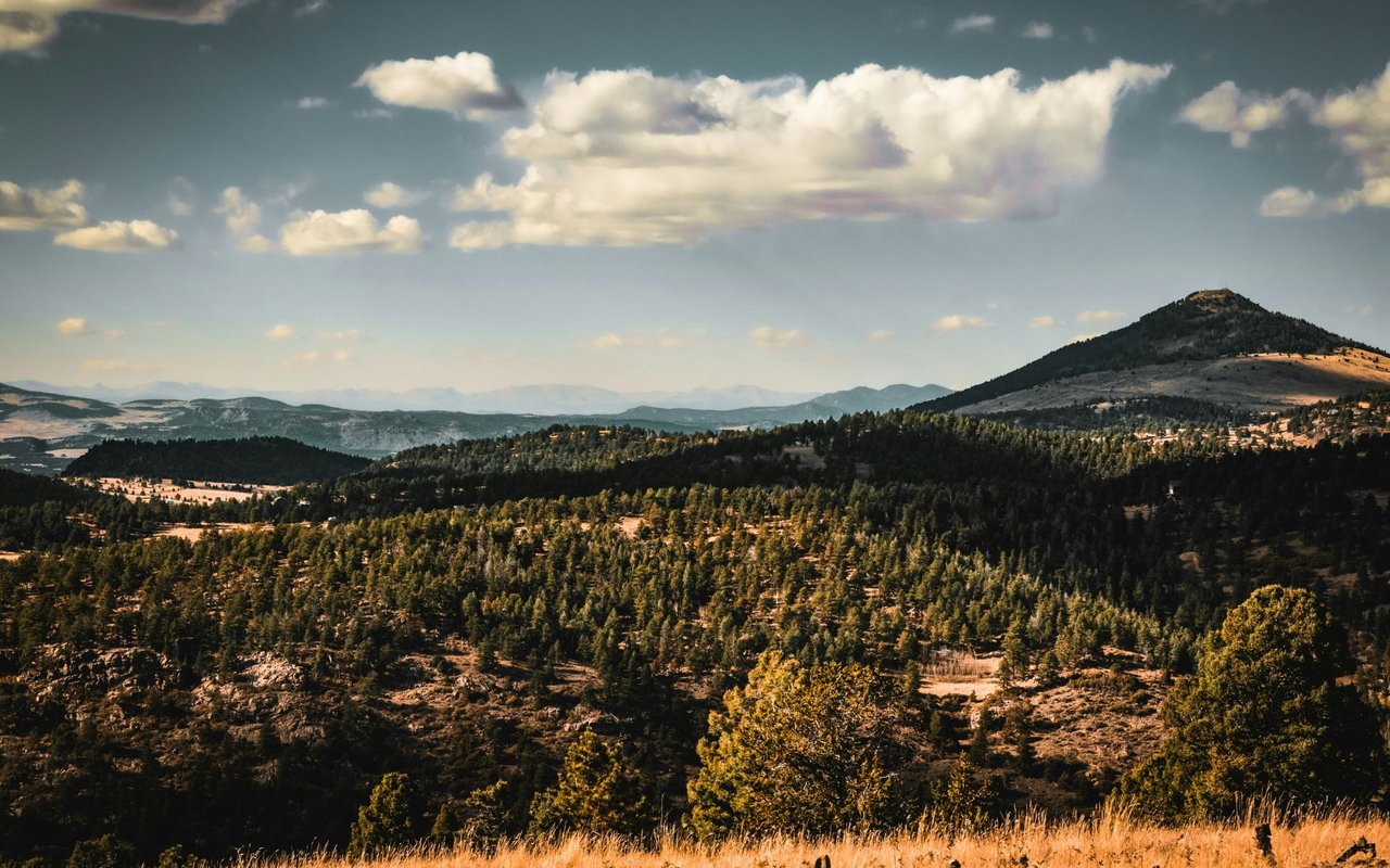 Jefferson County