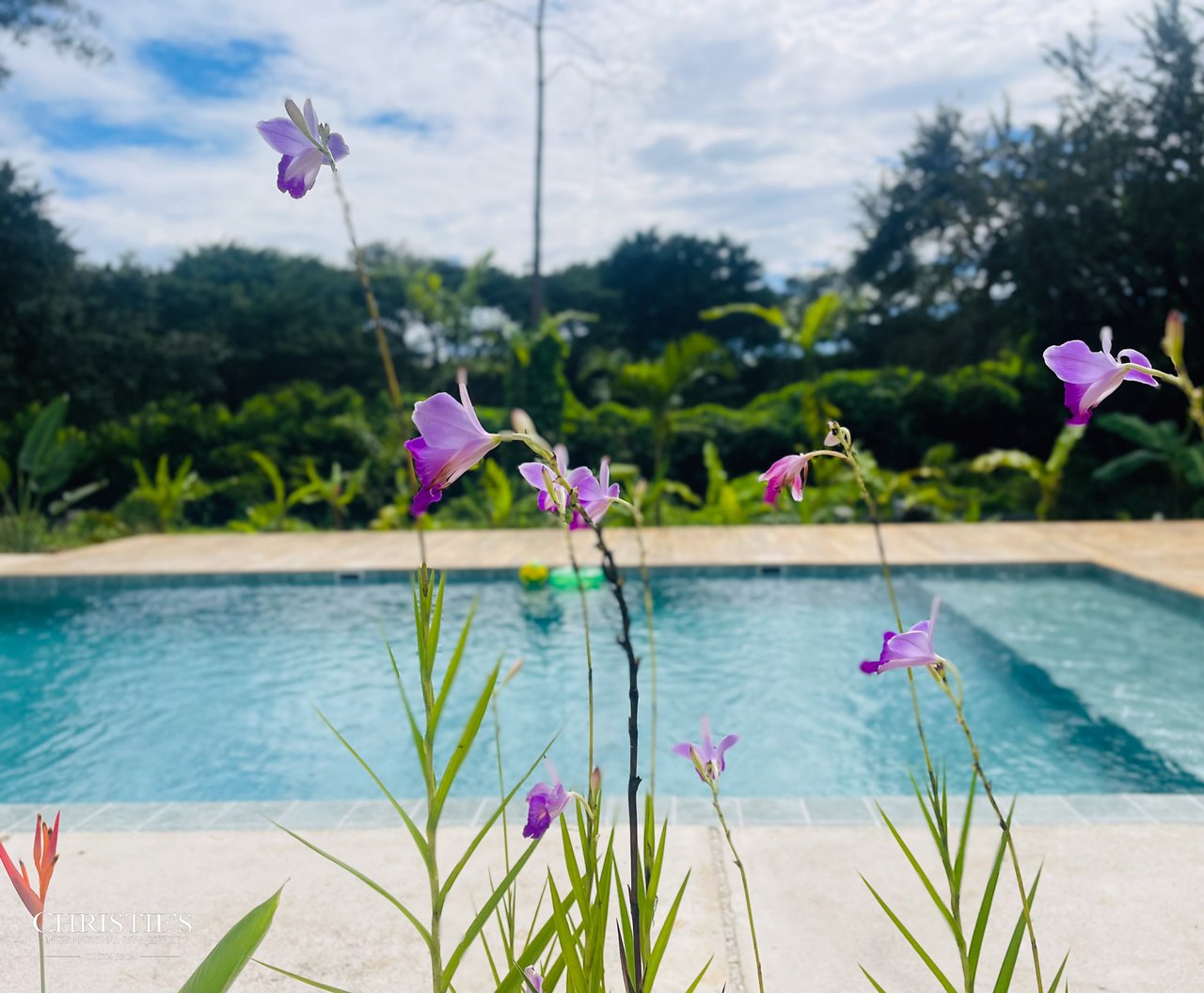 Tropical Villas Estate: A Unique Opportunity with 4 Private Villas