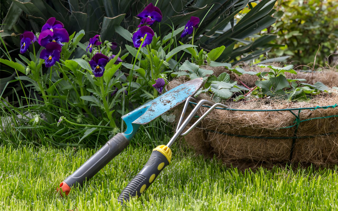 Five Yard Design Fails Homeowners Make