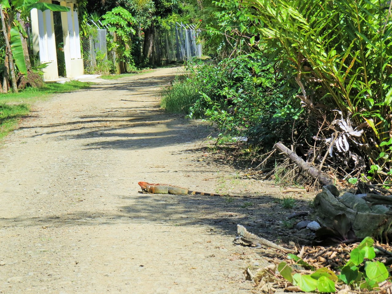 Fully equipped 4 Unit Apartment/Hotel complex 70 meters from the entrance to world-famous Marino Ballena National Park