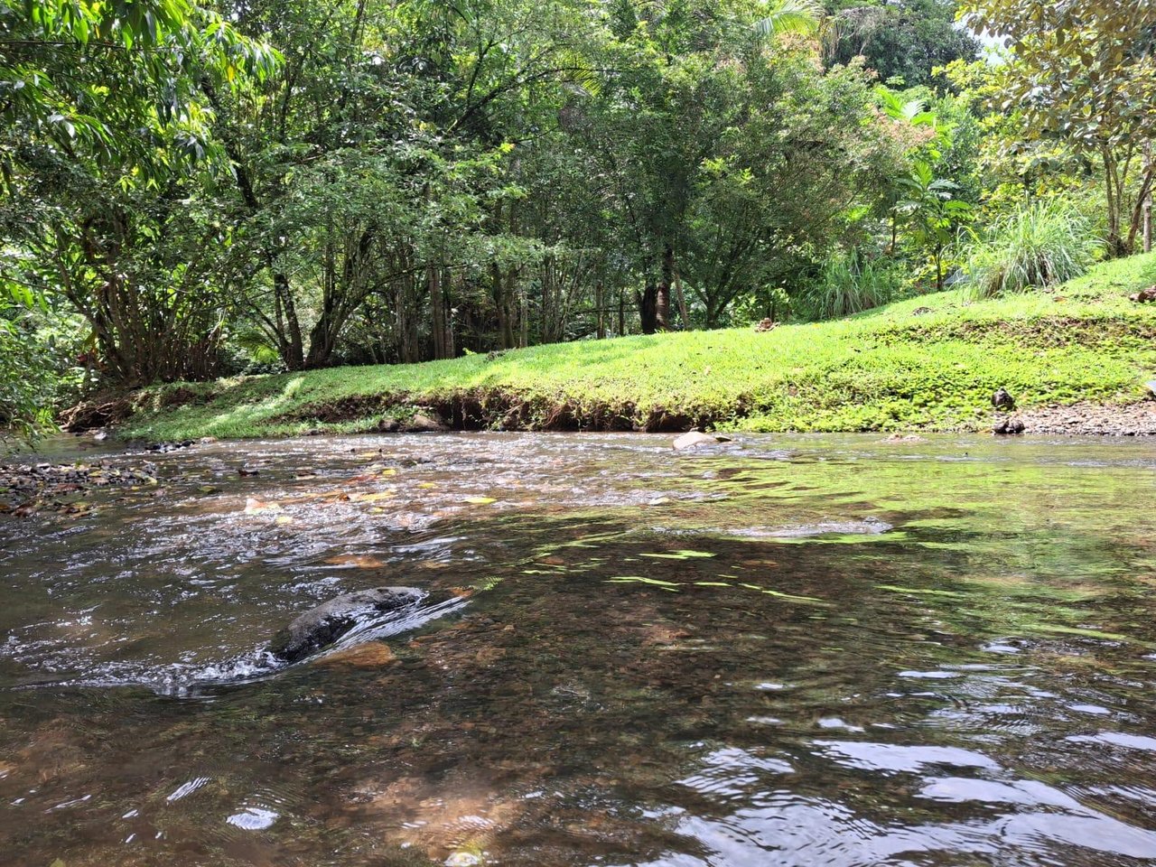 Eco Property Media Luna