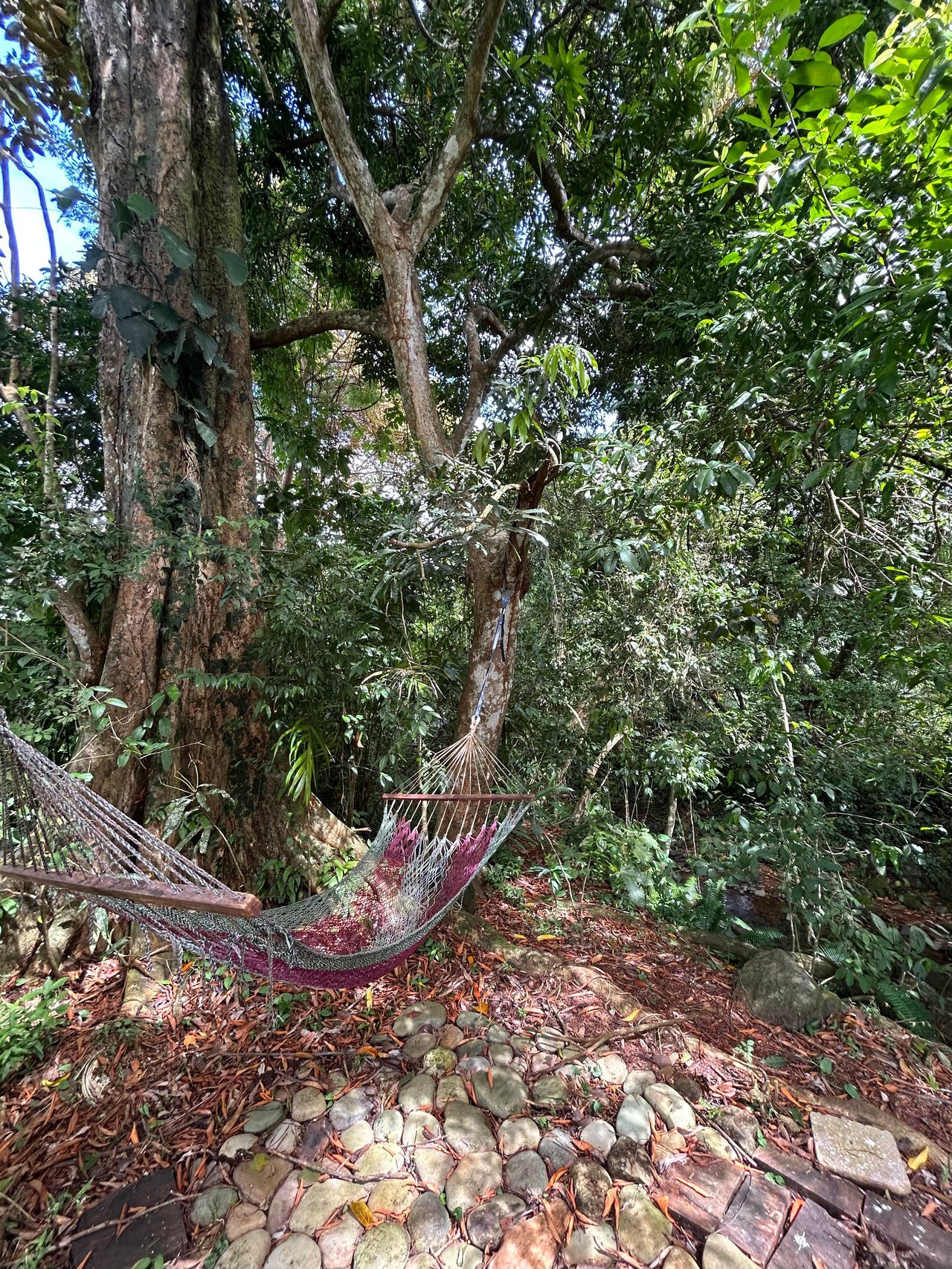 Hatillo Breeze, 2 Bedroom Home on 1,311m2 of usable land and year round creek!