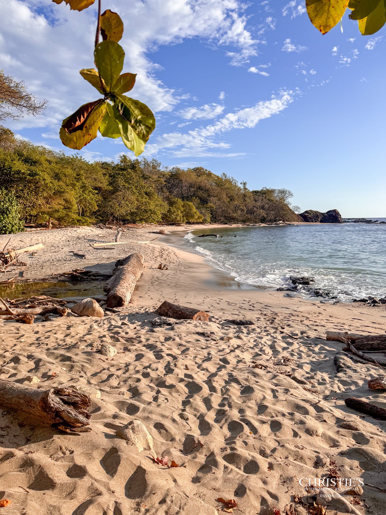 Casa La Tierra y El Mar | Rare Titled Oceanfront Property  