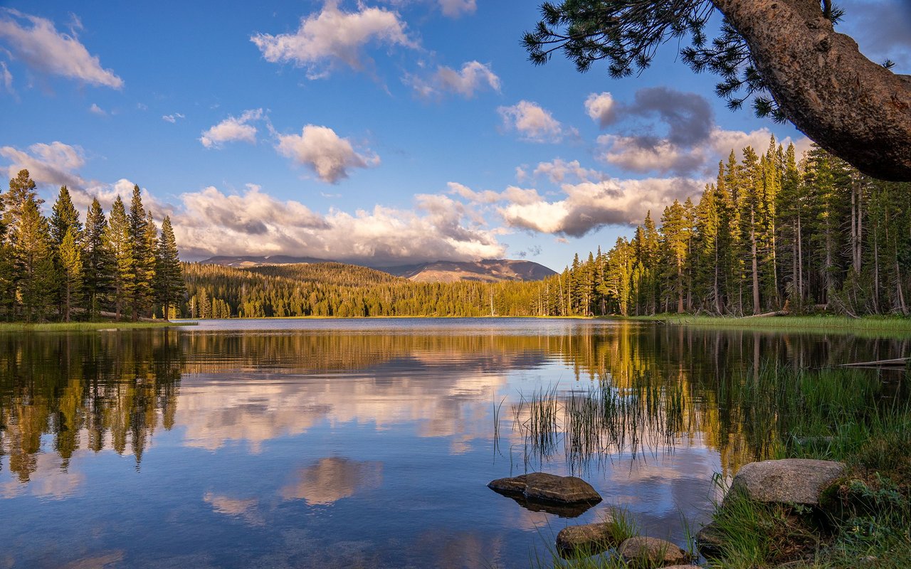 Meadow Vista