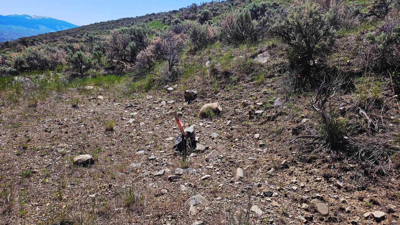 NKN Chipps Creek Road