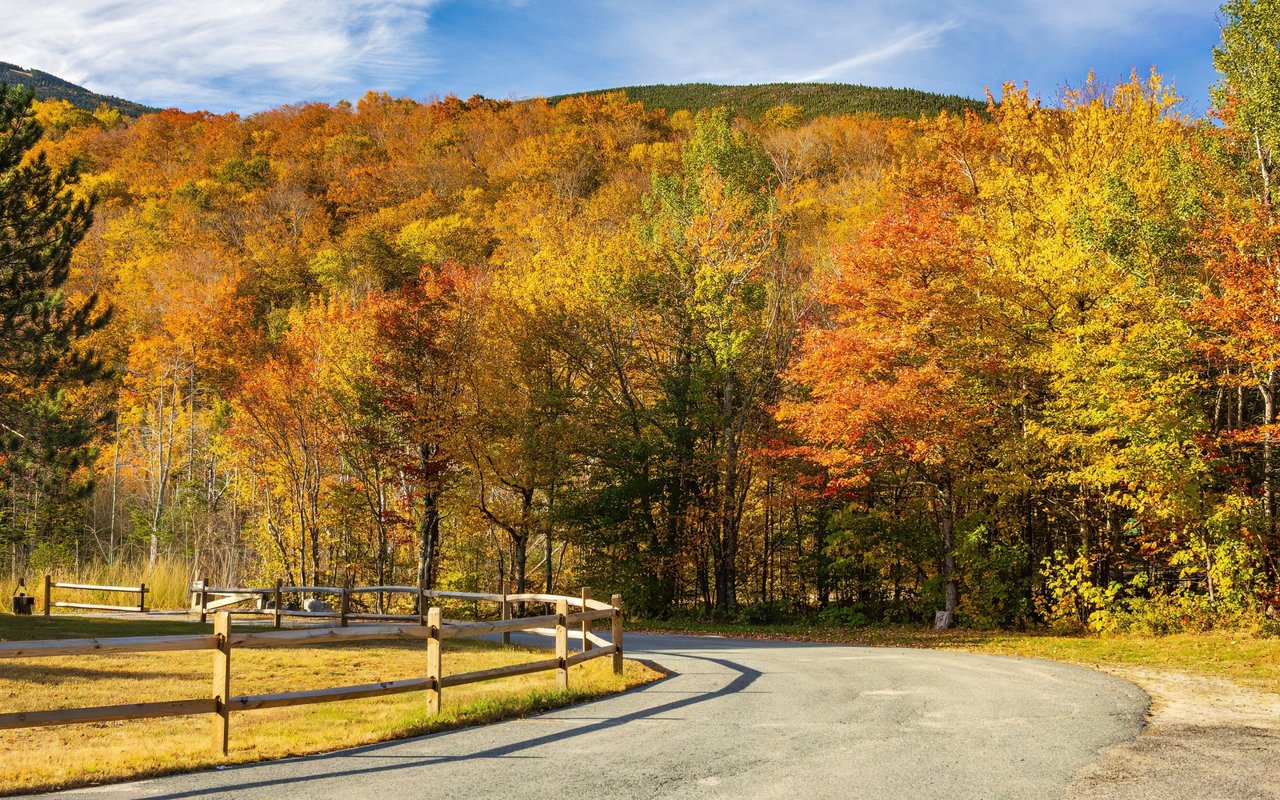 Amherst