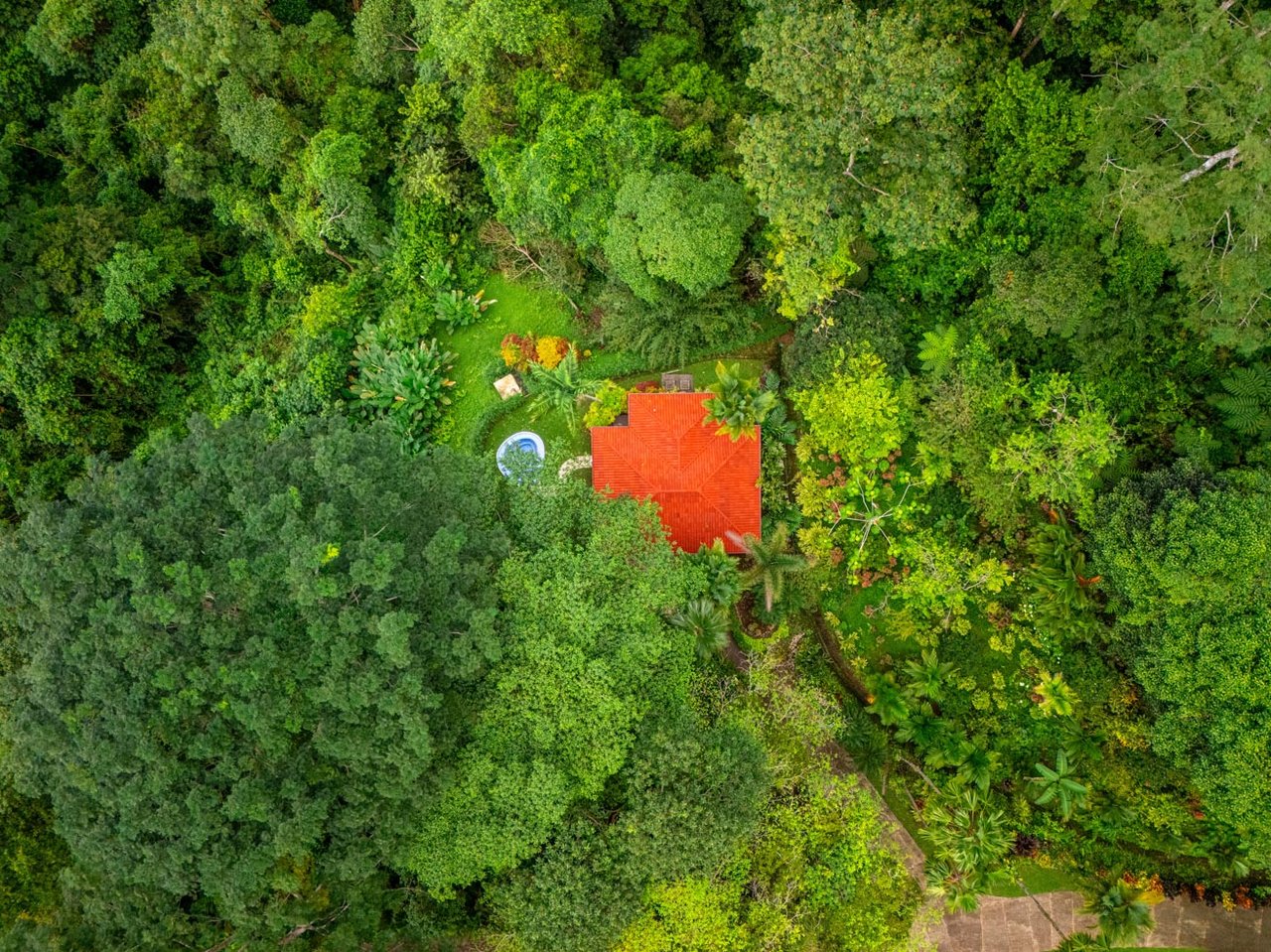 Ocean, jungle & mountain views on a meticulously landscaped 3-home family compound